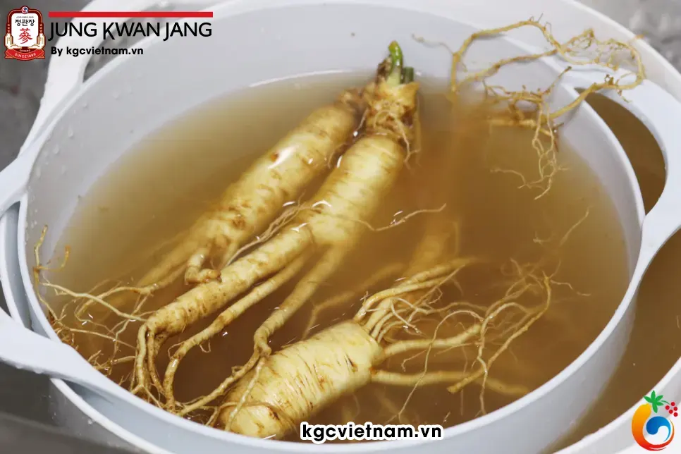 Sau Ngâm nhân sâm trong nước ta bắt đầu rửa qua mấy lượt nước cho sạch